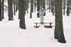 photosnowbanc2.jpg (291466 octets)