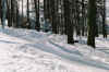 photosnowgrab.jpg (408739 octets)