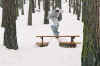 phoyossnowbanc1.jpg (272948 octets)